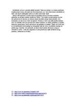 Eseja 'Parāds nav brālis', 2.