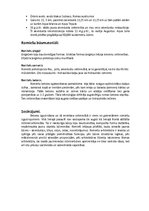 Referāts 'Senās Romas inženierbūves', 7.