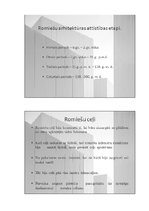 Referāts 'Senās Romas inženierbūves', 8.
