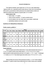 Biznesa plāns 'Viesnīcas biznesa plāns', 6.