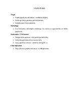 Referāts 'Uzņēmuma konkurentu raksturojuma analīze', 9.