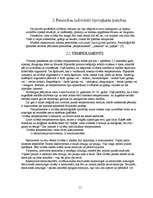 Referāts 'Personība un socializācijas process', 11.