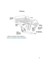 Referāts 'Gīzas piramīdas', 18.