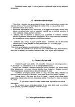 Prakses atskaite 'Profesionālās prakses pārskats', 6.