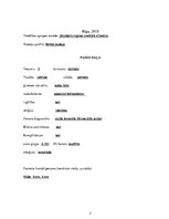 Prakses atskaite 'Akūts bronhīts, bērna aprūpes plāns', 2.