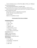 Prakses atskaite 'Akūts bronhīts, bērna aprūpes plāns', 4.