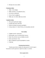 Prakses atskaite 'Akūts bronhīts, bērna aprūpes plāns', 7.