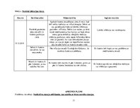 Prakses atskaite 'Akūts bronhīts, bērna aprūpes plāns', 31.