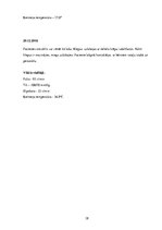 Prakses atskaite 'Akūts bronhīts, bērna aprūpes plāns', 38.