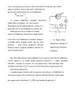 Konspekts 'Fotoefekts', 5.