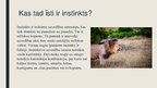 Prezentācija 'Instinkti', 2.