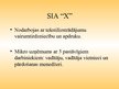 Prezentācija 'Klientu apkalpošanas stratēģija uzņēmumā "X"', 2.