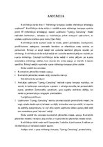 Diplomdarbs 'Mārketinga kampaņas izstrāde informācijas tehnoloģiju uzņēmumā', 3.