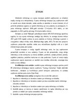 Diplomdarbs 'Mārketinga kampaņas izstrāde informācijas tehnoloģiju uzņēmumā', 7.