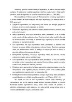 Diplomdarbs 'Mārketinga kampaņas izstrāde informācijas tehnoloģiju uzņēmumā', 11.