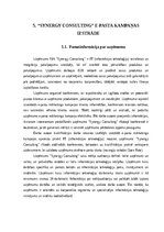 Diplomdarbs 'Mārketinga kampaņas izstrāde informācijas tehnoloģiju uzņēmumā', 24.