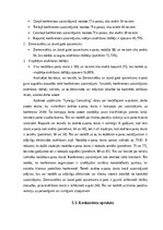 Diplomdarbs 'Mārketinga kampaņas izstrāde informācijas tehnoloģiju uzņēmumā', 26.