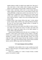 Diplomdarbs 'Mārketinga kampaņas izstrāde informācijas tehnoloģiju uzņēmumā', 30.