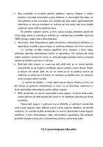 Diplomdarbs 'Mārketinga kampaņas izstrāde informācijas tehnoloģiju uzņēmumā', 31.