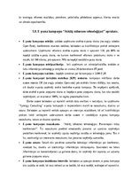 Diplomdarbs 'Mārketinga kampaņas izstrāde informācijas tehnoloģiju uzņēmumā', 34.