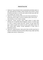 Diplomdarbs 'Mārketinga kampaņas izstrāde informācijas tehnoloģiju uzņēmumā', 38.