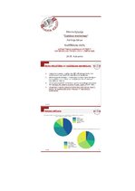 Diplomdarbs 'Mārketinga kampaņas izstrāde informācijas tehnoloģiju uzņēmumā', 41.