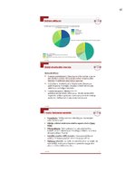 Diplomdarbs 'Mārketinga kampaņas izstrāde informācijas tehnoloģiju uzņēmumā', 43.