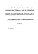 Diplomdarbs 'Mārketinga kampaņas izstrāde informācijas tehnoloģiju uzņēmumā', 60.