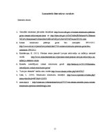 Eseja 'Patēriņa preču groza atbilstība mūsdienām', 15.