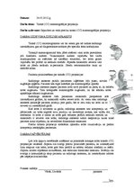 Prakses atskaite 'Radiologa asistenta prakses dienasgrāmata', 19.