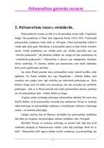 Referāts 'Psihoanalīzes galvenās nozares', 2.