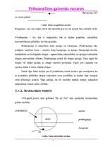 Referāts 'Psihoanalīzes galvenās nozares', 5.