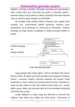 Referāts 'Psihoanalīzes galvenās nozares', 8.