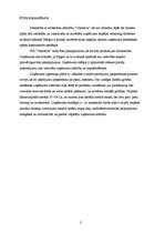 Biznesa plāns 'SIA "Objektīvs"', 9.