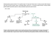 Biznesa plāns 'SIA "Objektīvs"', 23.