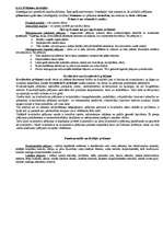 Konspekts 'Valsts pedagoģijas eksāmens', 7.