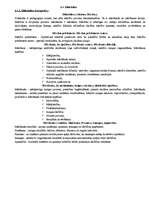 Konspekts 'Valsts pedagoģijas eksāmens', 13.