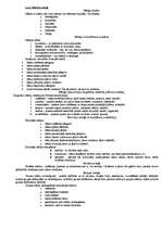 Konspekts 'Valsts pedagoģijas eksāmens', 14.