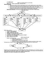 Konspekts 'Valsts pedagoģijas eksāmens', 15.