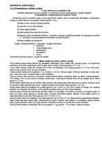 Konspekts 'Valsts pedagoģijas eksāmens', 42.