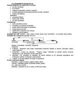 Konspekts 'Valsts pedagoģijas eksāmens', 56.