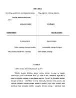 Referāts 'Ekstravertās ievirzes tips saziņā', 5.