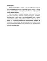 Referāts 'Ekstravertās ievirzes tips saziņā', 10.