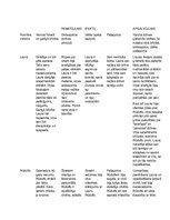 Konspekts 'Regīnas Ezeras romāna "Aka" apkopojums', 1.