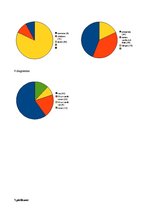 Referāts 'Kontracepcijas līdzekļi un izsargāšanās no grūtniecības', 22.