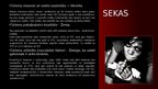 Prezentācija 'Sekstūrisms', 9.