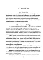 Referāts 'Daugavpils Valsts ģimnāzijas 10. un 11.klašu skolēnu attieksme pret savu redzi', 5.