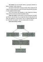 Konspekts 'Ziņu struktūra', 2.