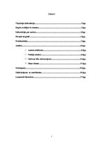 Referāts 'Pētera Aigara romāns "Lietuvēna dzīres"', 2.