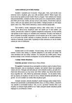 Referāts 'Pētera Aigara romāns "Lietuvēna dzīres"', 6.